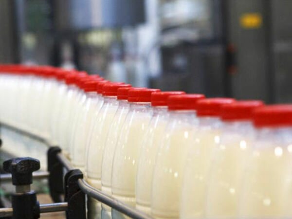 Виды обработки молока, стерилизация и пастеризация молока