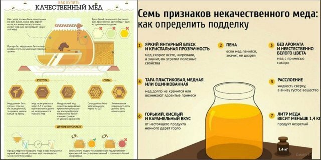 Как правильно выбрать хороший мед на рынке